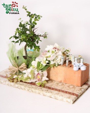 Dovana ATEITIES PLANAI | Dovanos vestuvėms | Dovanos