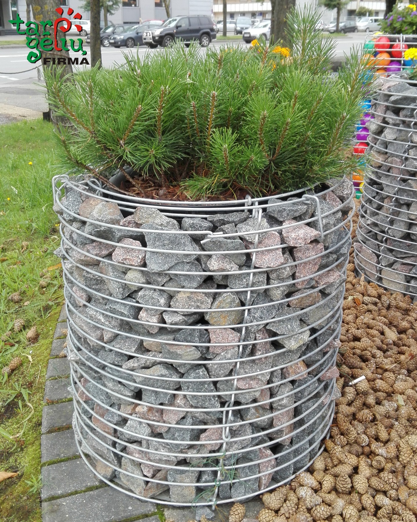 Metaliniai vazonai GABION Cylinder 