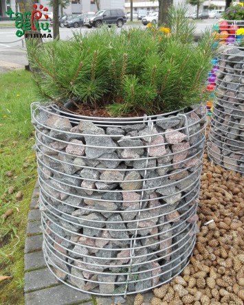 Metaliniai vazonai GABION Cylinder 