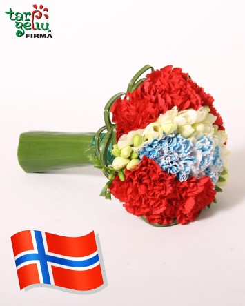Bouquet GREETINGS FROM NORWAY | Boquets | Flowers