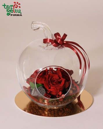 Composition SEA PEARL | Gifts | Flowers
