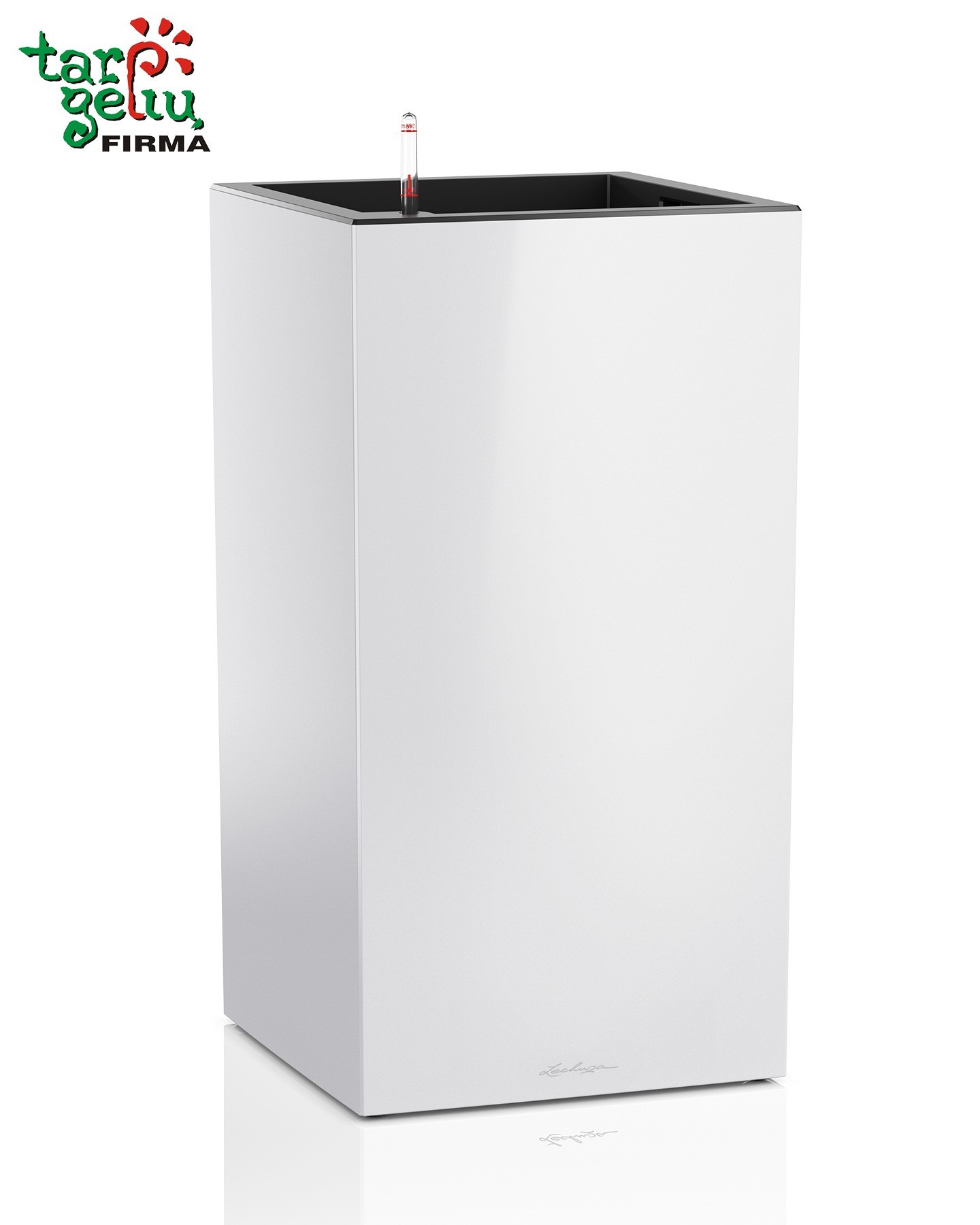 CANTO column Lechuza