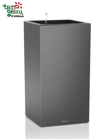CANTO column Lechuza
