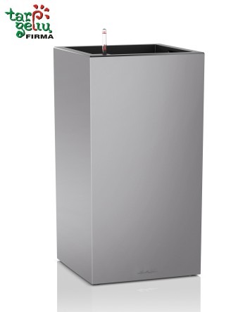 CANTO column Lechuza