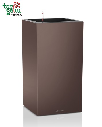CANTO column Lechuza