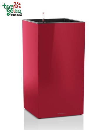 CANTO column Lechuza
