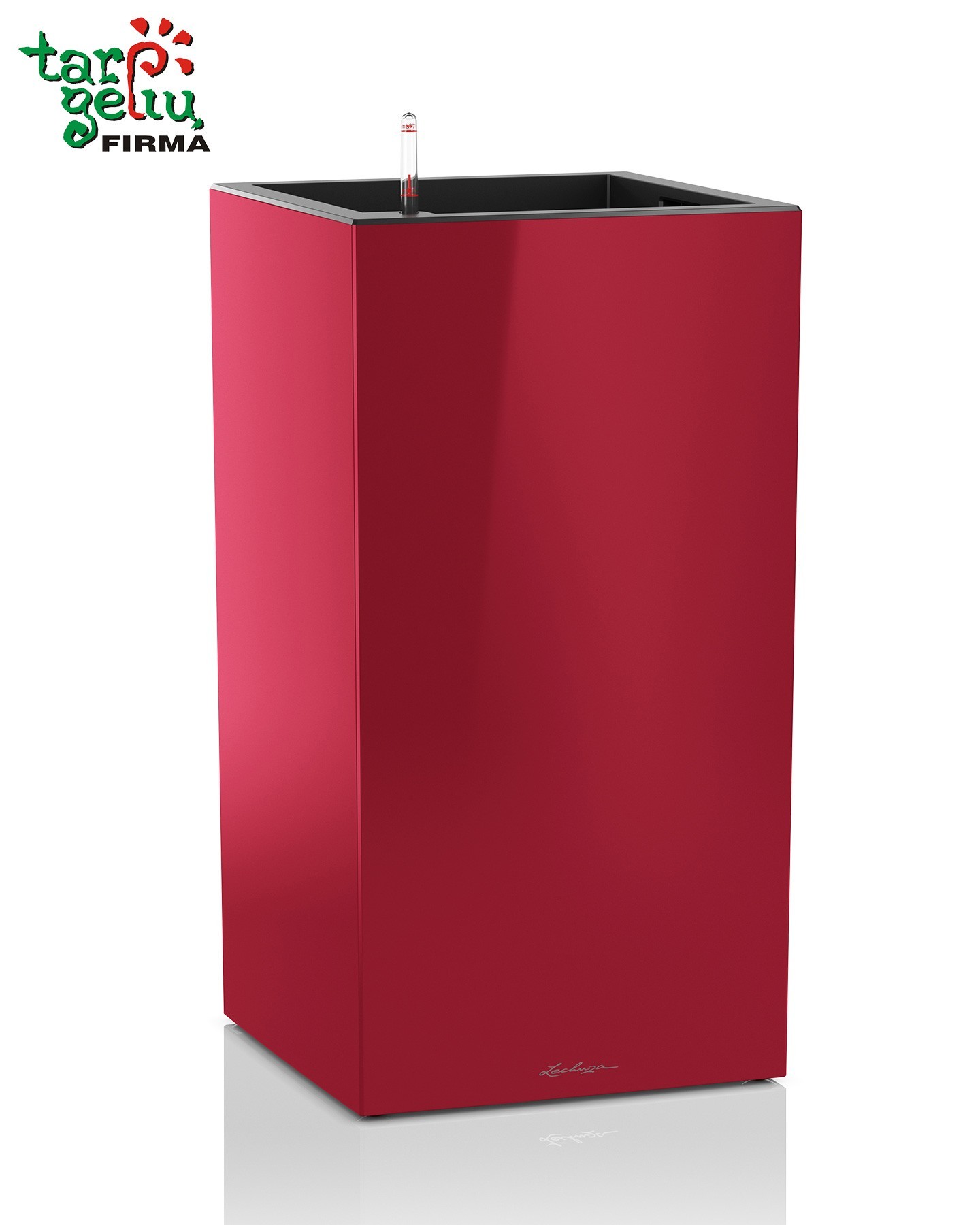 CANTO column Lechuza