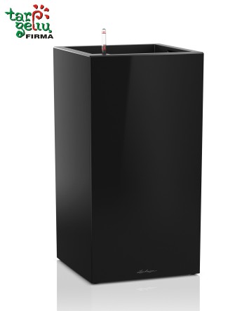 CANTO column Lechuza