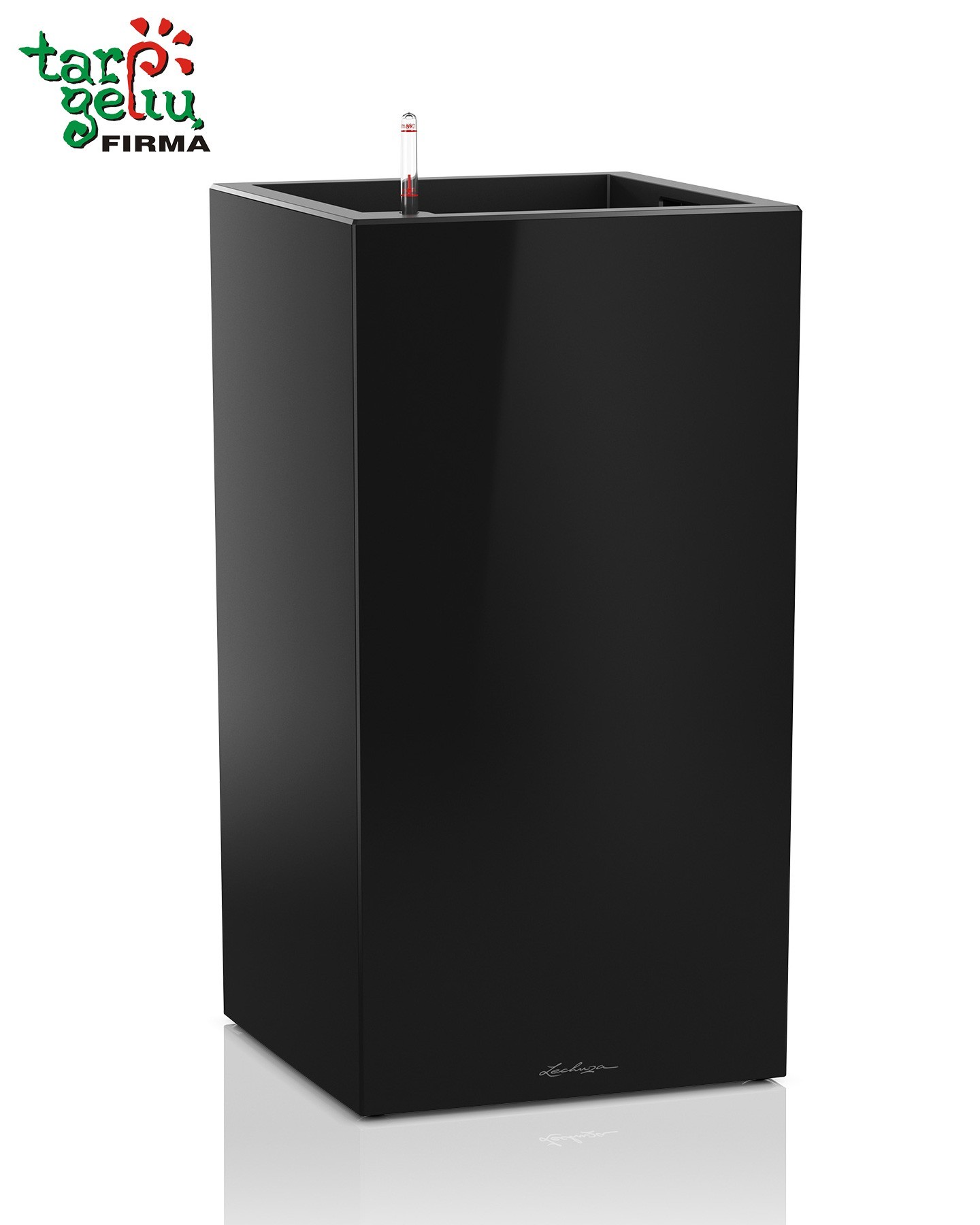 CANTO column Lechuza