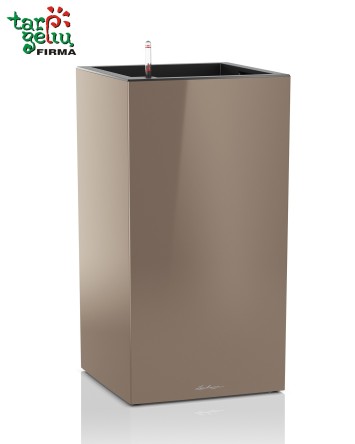 CANTO column Lechuza