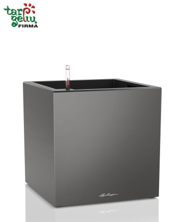 CANTO cube