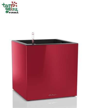 Vazonas CANTO cube Lechuza