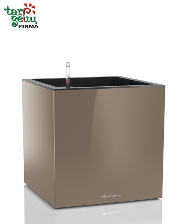 CANTO cube