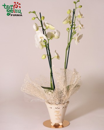 Stilizuota orchidėja - padėka tėvams | Dovanos tėvams