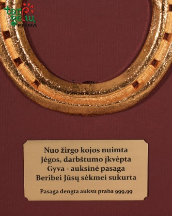 Auksu dengta pasaga | Dovanų idėjos