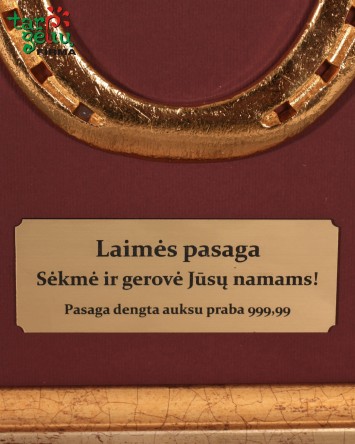 Auksu dengta laimės pasaga | Dovanų idėjos