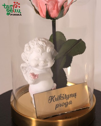 "Lai tave angelas globos" | Gėlės | Dovanos krikštynoms