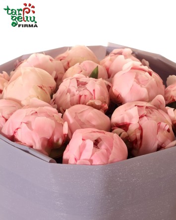 Bouquet of Peonies | Bouquets
