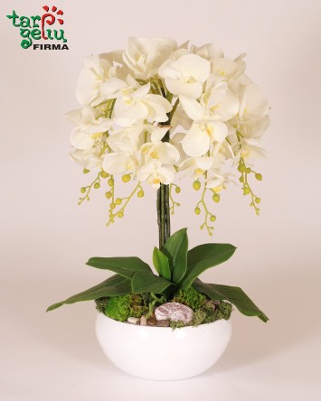 Dirbtinių orchidėjų kompozicija | Gėlės