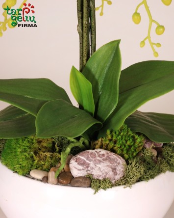 Dirbtinių orchidėjų kompozicija | Gėlės