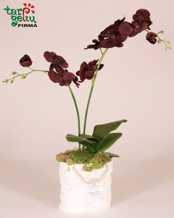 Dirbtinių orchidėjų kompozicija "Bordo" | Dirbtinių gėlių kompozicijos | Gėlės