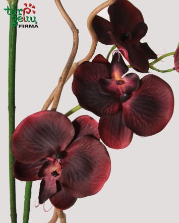 Dirbtinių orchidėjų kompozicija "Bordo" | Dirbtinių gėlių kompozicijos | Gėlės