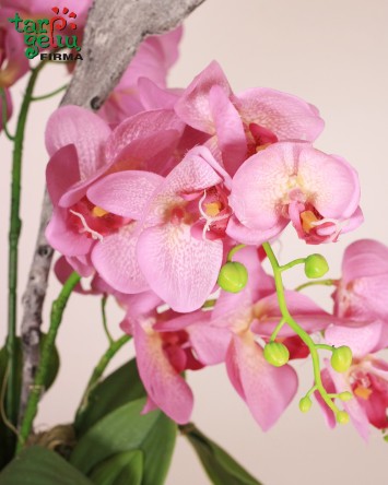 Dirbtinių orchidėjų kompozicija "Pink" | Dirbtinių gėlių kompozicijos | Gėlės