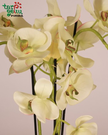 Dirbtinių orchidėjų kompozicija | Dirbtinių gėlių kompozicijos | Gėlės