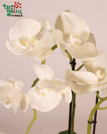 Dirbtinių baltų orchidėjų kompozicija | Dirbtinių gėlių kompozicijos | Gėlės