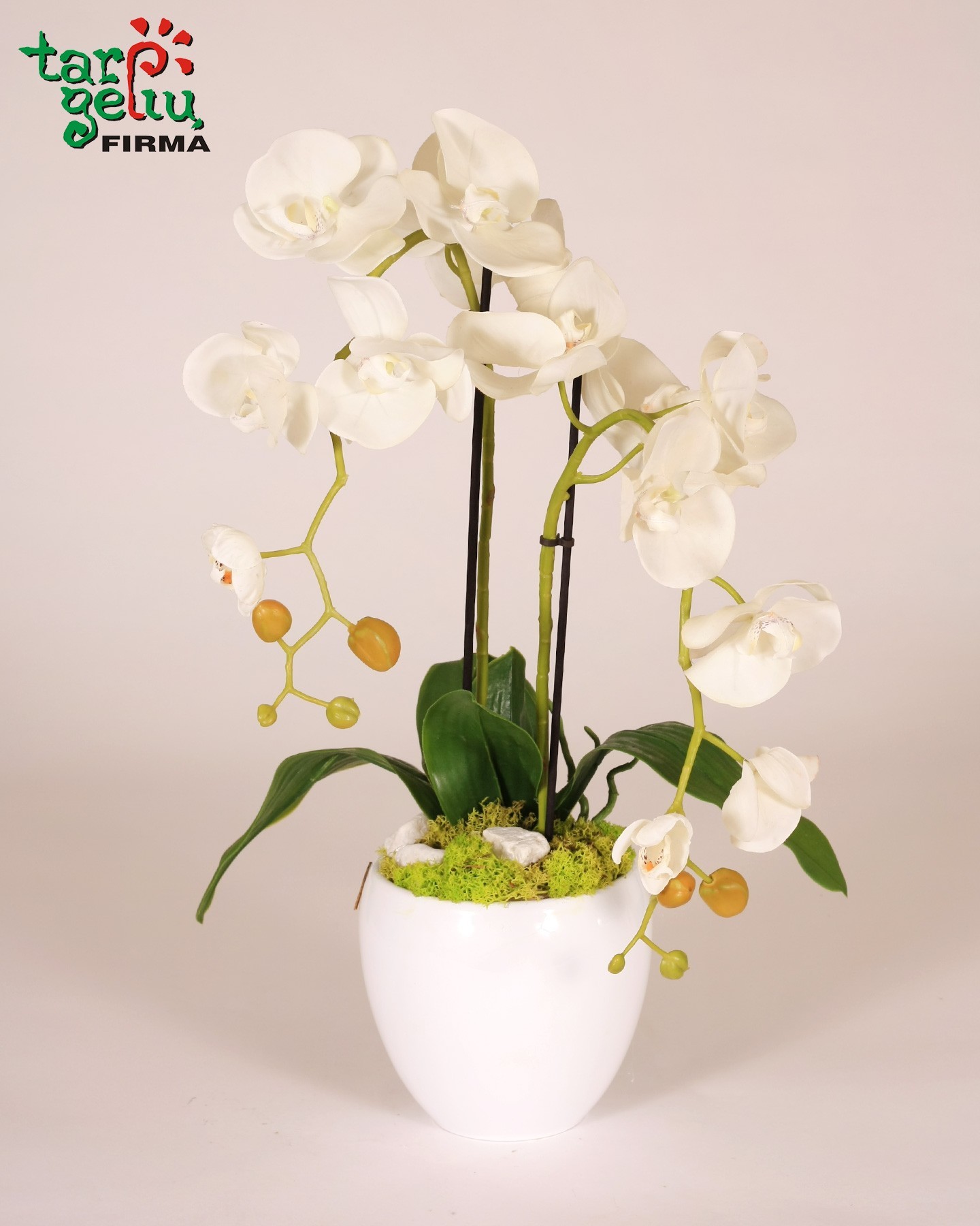 Dirbtinių baltų orchidėjų kompozicija | Dirbtinių gėlių kompozicijos | Gėlės