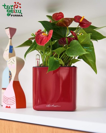Vazonas Cube Glossy Lechuza