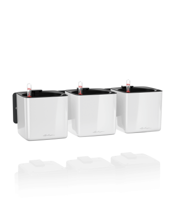 Lechuza CUBE Glossy augalų sienos rinkinys
