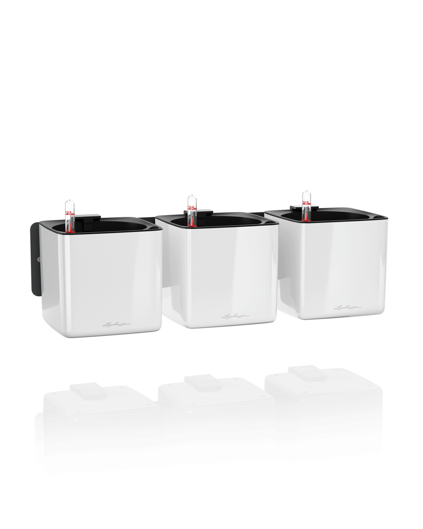 Lechuza CUBE Glossy augalų sienos rinkinys
