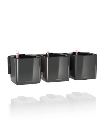 Lechuza CUBE Glossy augalų sienos rinkinys
