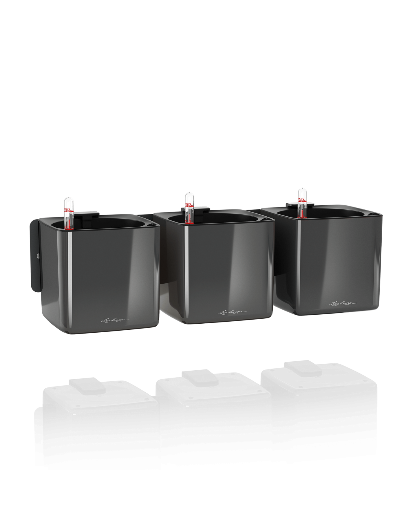 Lechuza CUBE Glossy augalų sienos rinkinys