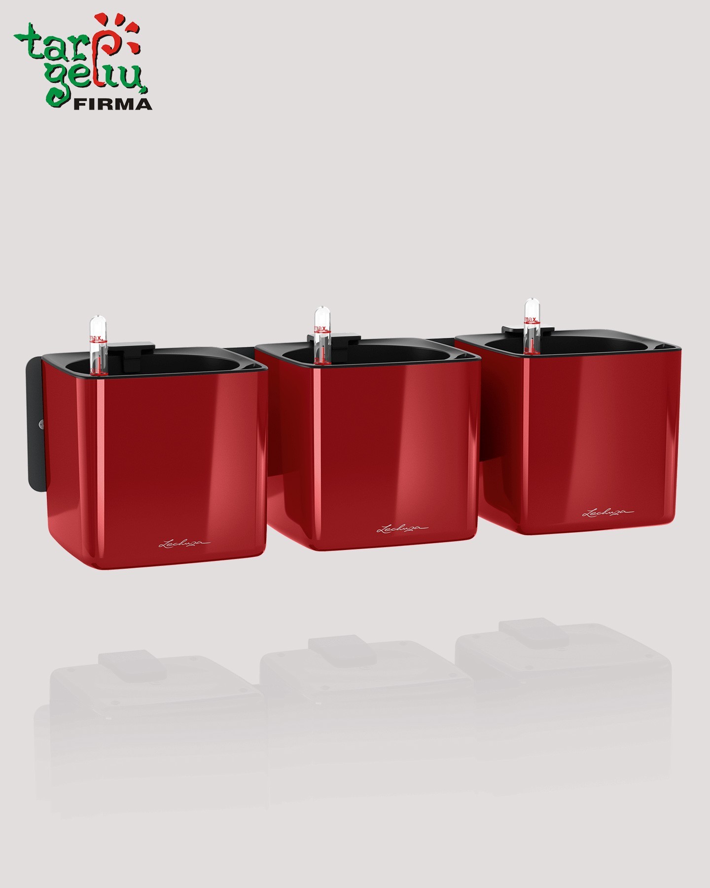 Lechuza CUBE Glossy augalų sienos rinkinys