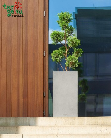 CANTO Color column Lechuza
