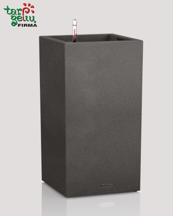 CANTO Color column Lechuza