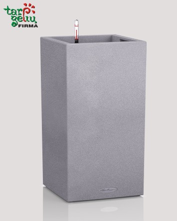 CANTO Color column Lechuza