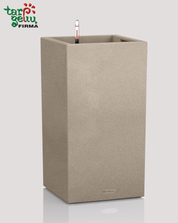 CANTO Color column Lechuza