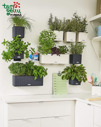 Vazonas CUBE Color green wall Lechuza