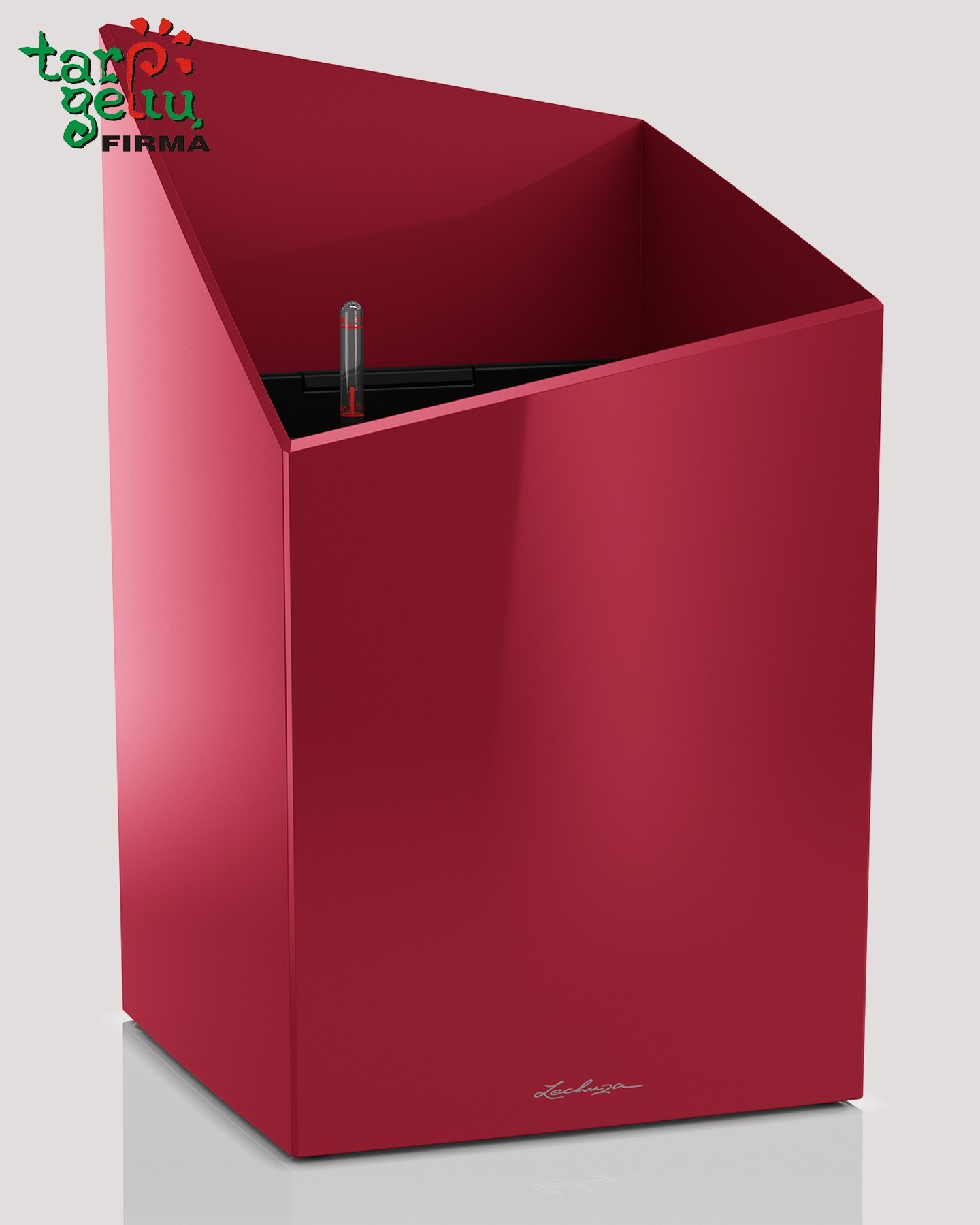 Vazonas Cursivo Lechuza
