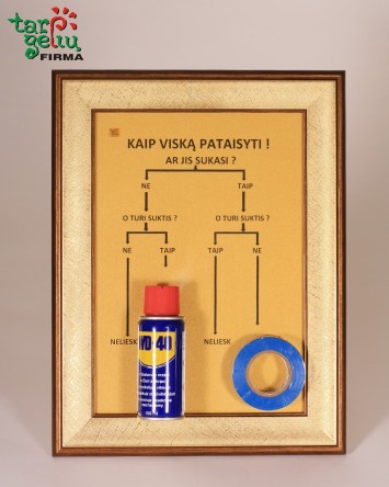 "Kaip viską pataistyti" | Linksmos dovana