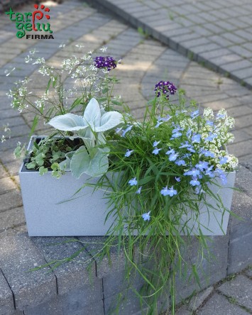 Gėlės ir vazonas BALCONERA Stone