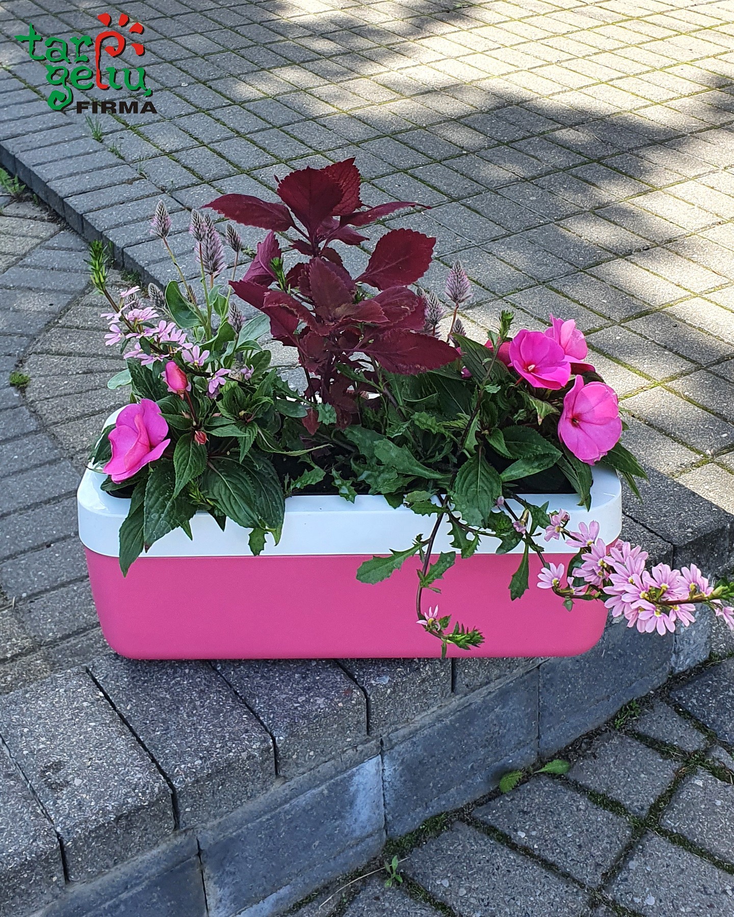 Gėlės ir vazonas