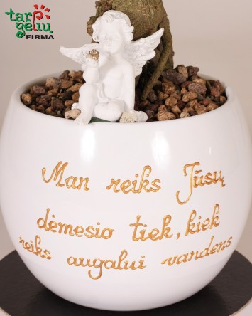 Stilizuotas bonsas krikšto tėvams| Dovanos 