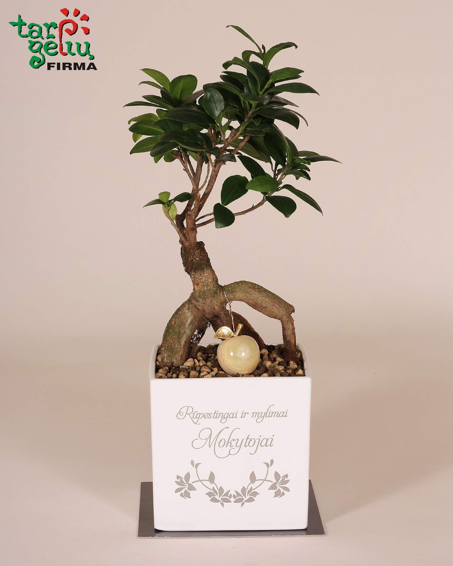 Bonsai "Rūpestingai ir mylimai mokytojai" | Dovanos mokytojai