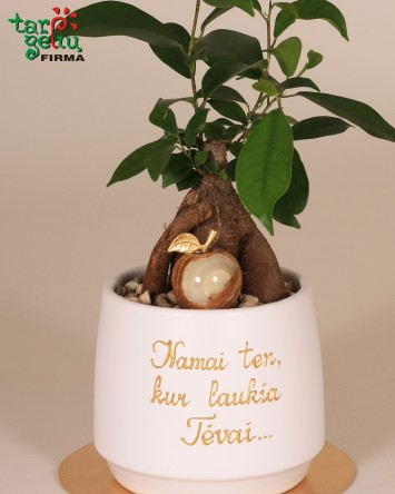 Padėka tėvams "Namai ten, kur laukia tėvai" | Dovanos tėvams