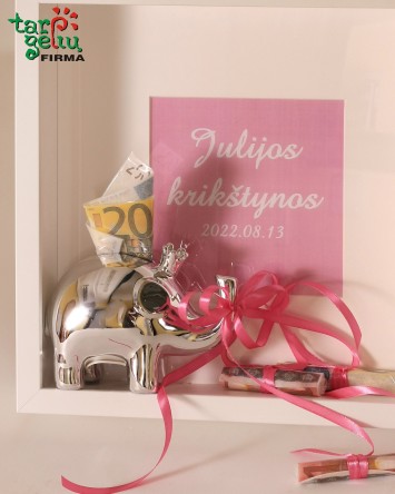 Paveikslas-pinigų vokelis su drambliuku  | Originalios dovanos krikštynoms