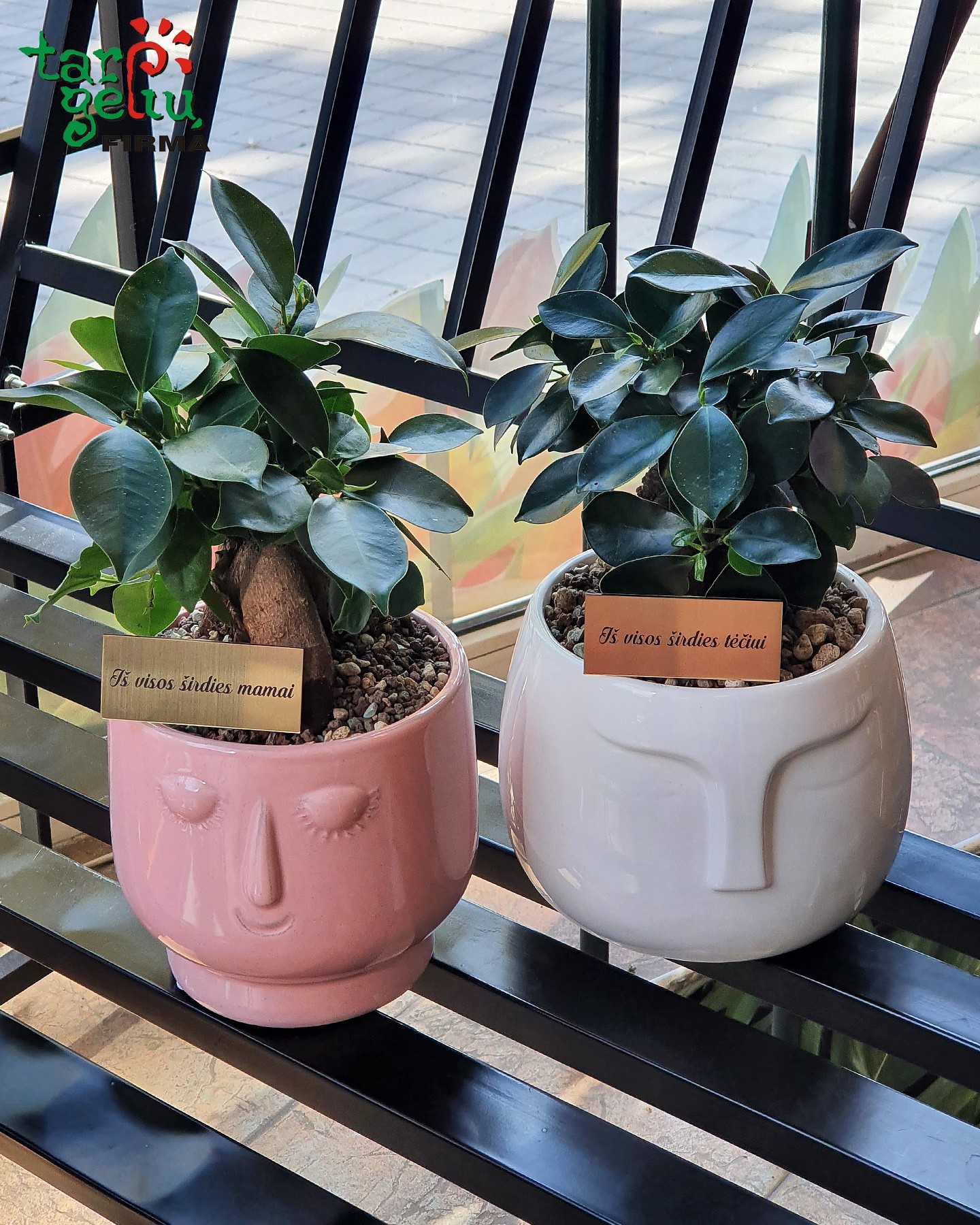 Bonsai veido formos vazone "Iš visos širdies mamai ir tėčiui" | Dovanos 